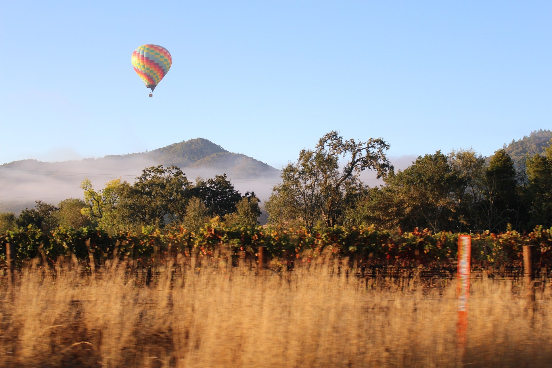 a hot air balloon floats above napa valley, california