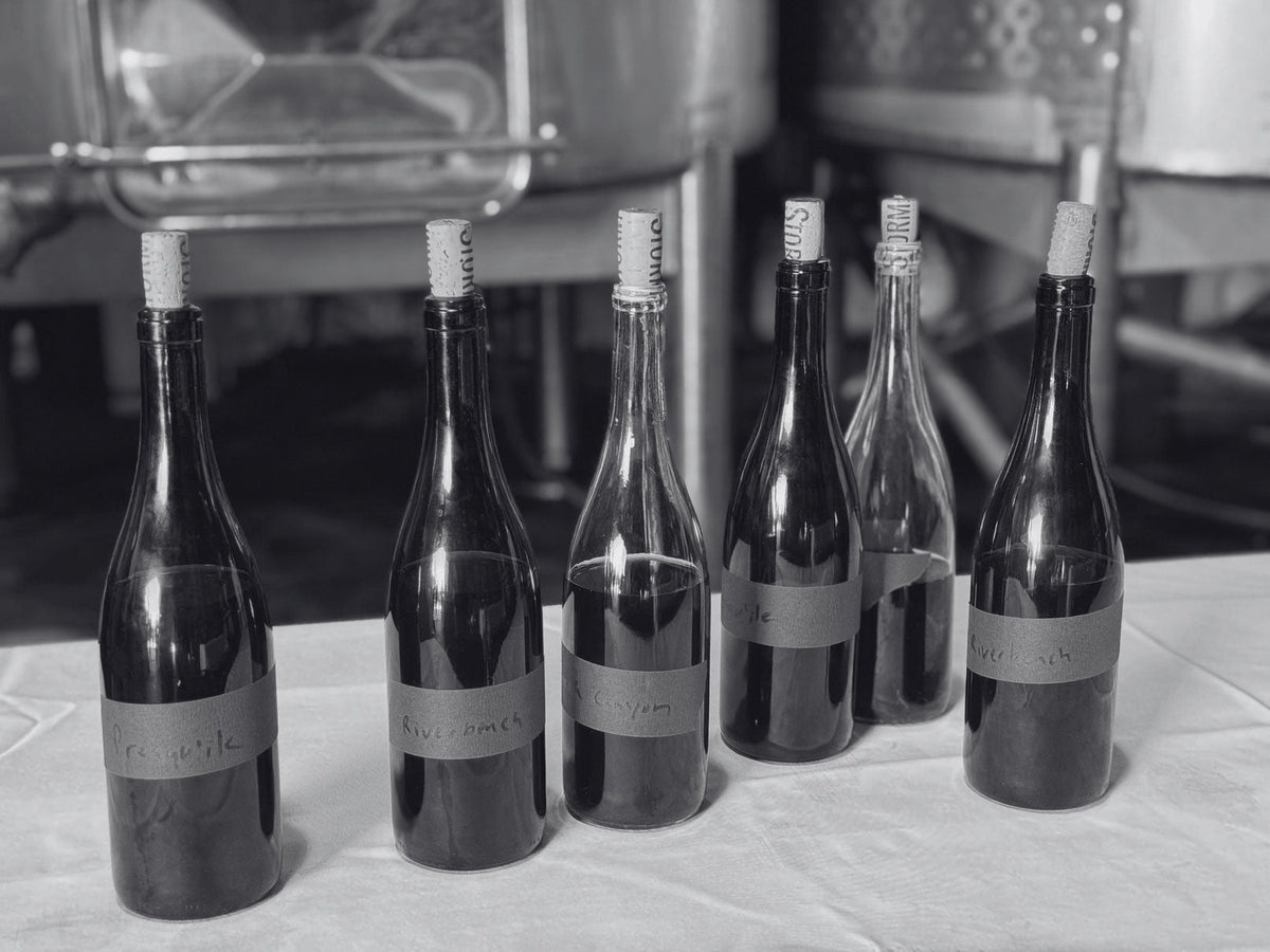 How to Host a Blind Wine Tasting at Home | Argaux
