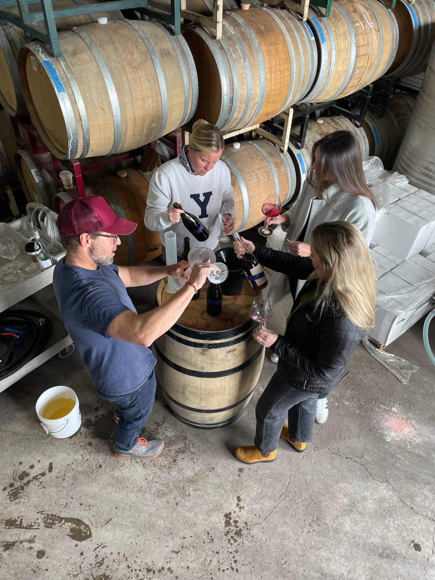 Argaux storm pinot