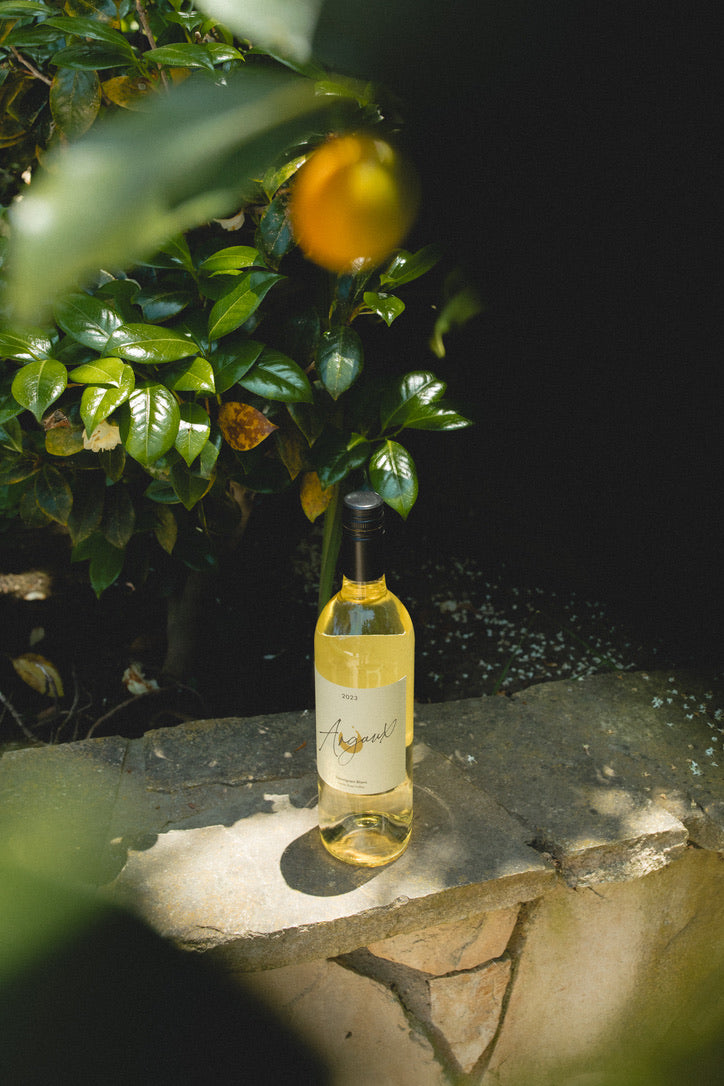2025 Argaux Santa Ynez Valley Sauvignon Blanc