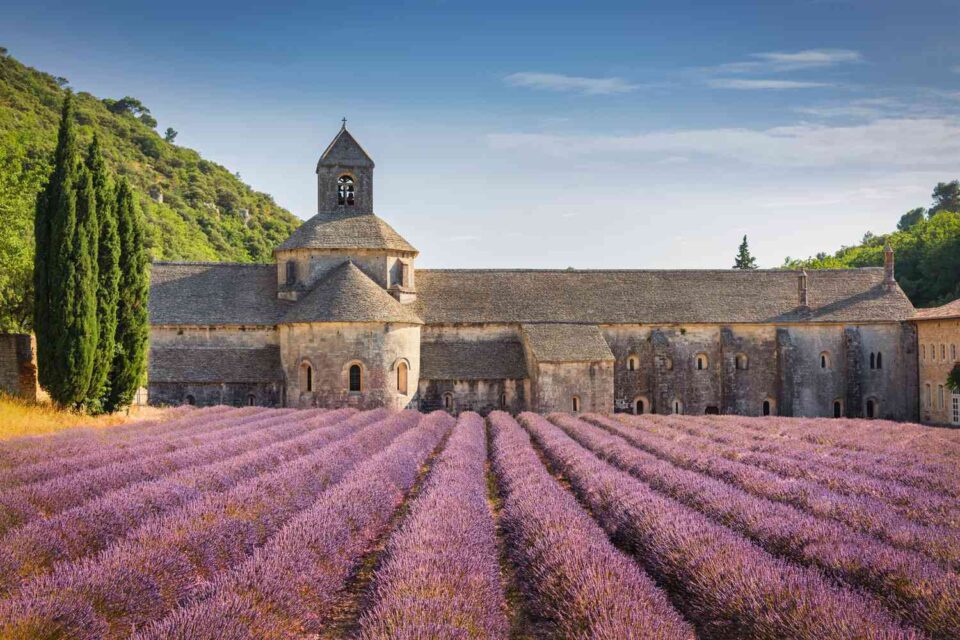Historic stone building in the South of France with a lavender field in the foreground