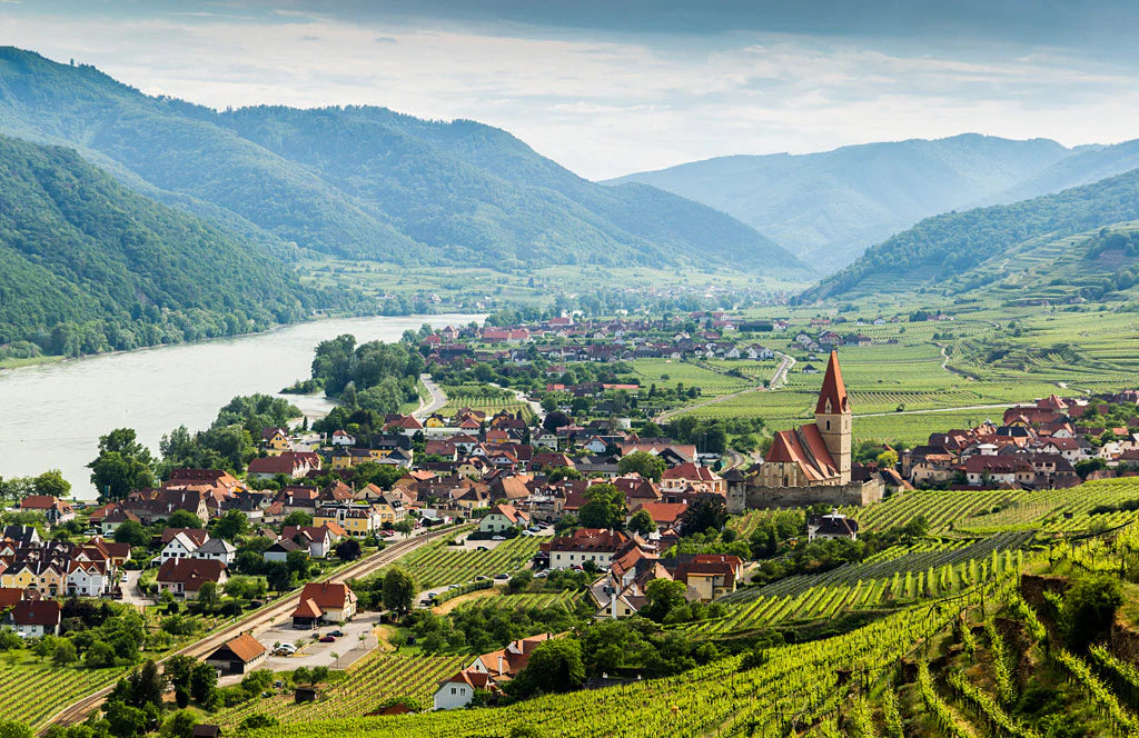 September Wine Class - Wines of Germany & Austria