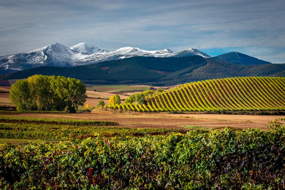 August Wine Class - Wines of Spain