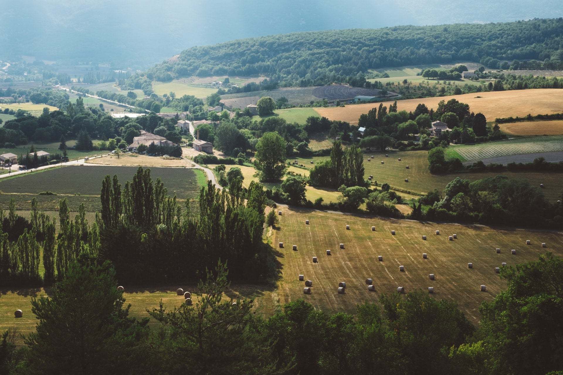 champagne region