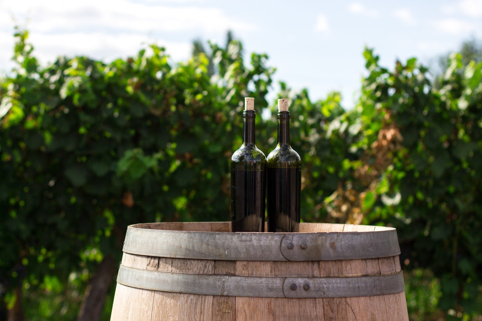 what is natural wine