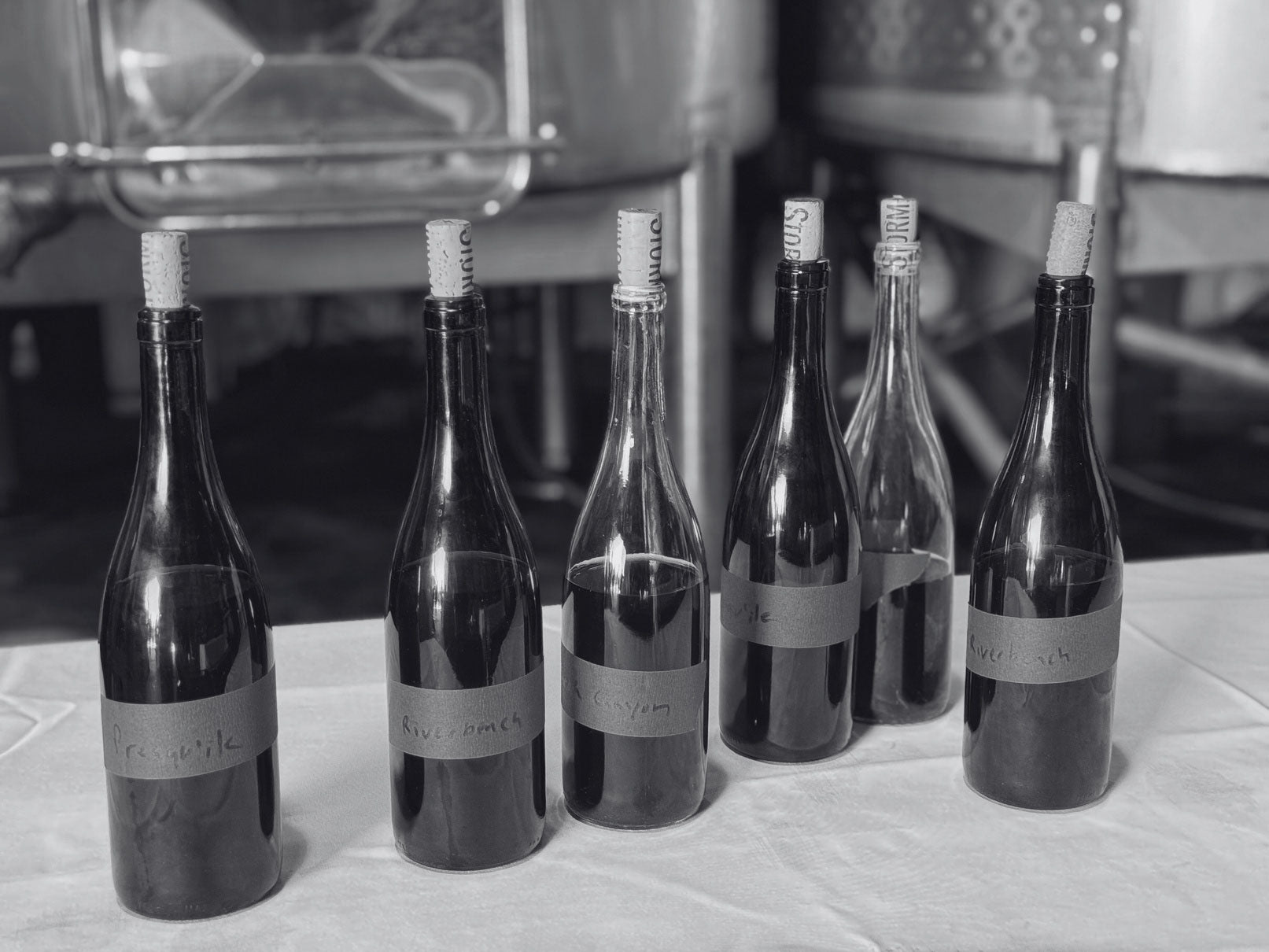 How to Host a Blind Wine Tasting at Home | Argaux