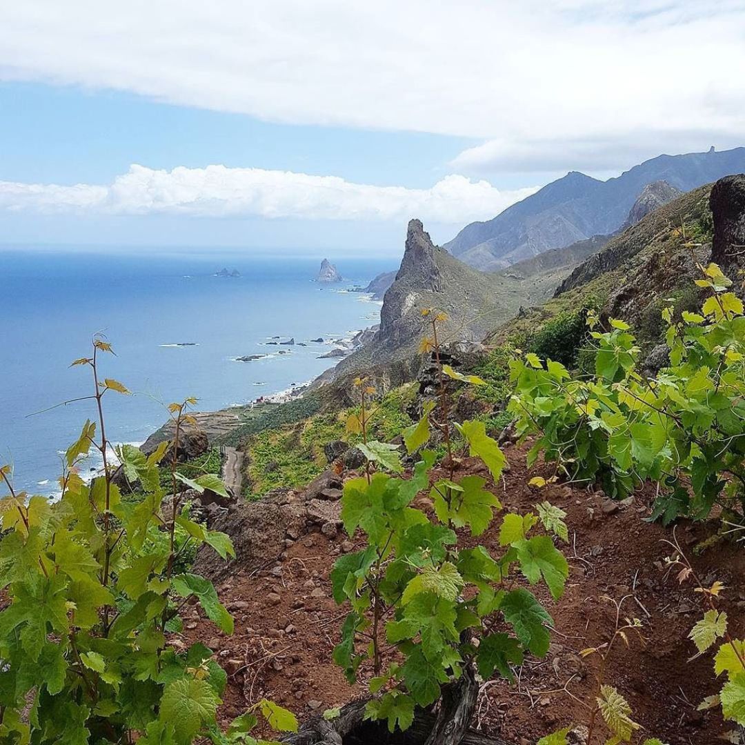 July Wine Class - Island Wines: From Sicily to Corsica