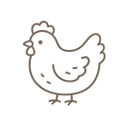 Chicken & Poultry