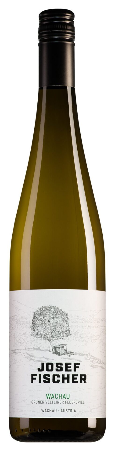 2024 Josef Fischer Gruner Veltliner Wachau