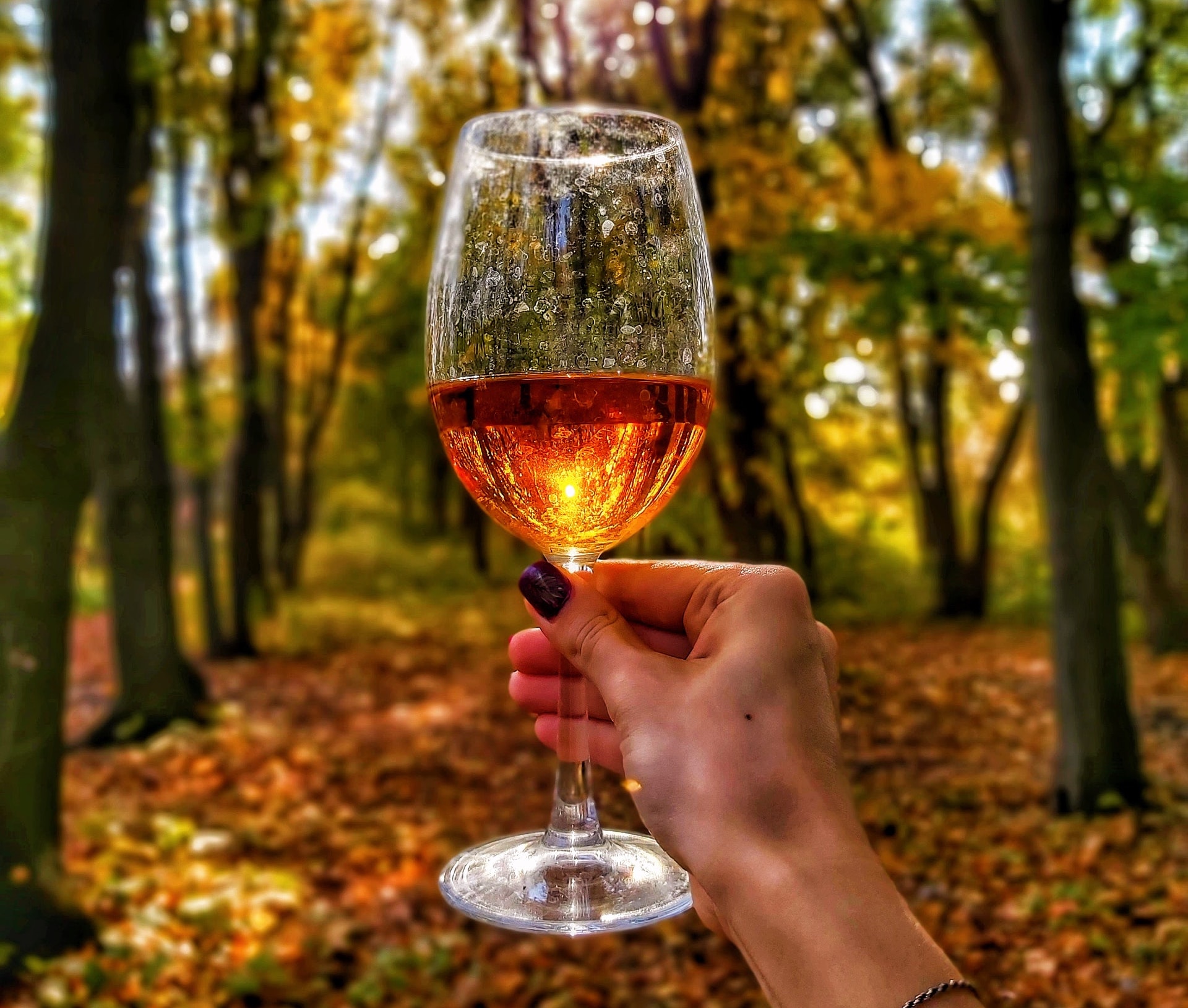 best wines for fall and autumn